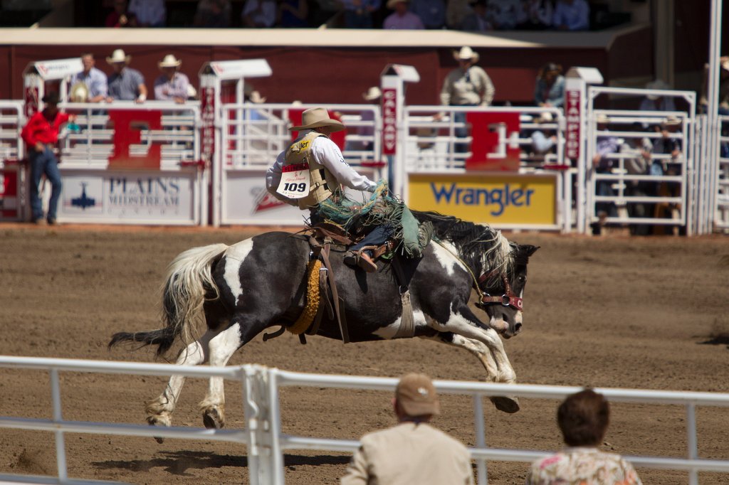 Calgary Stampede-1750.jpg